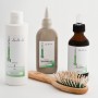 Kit Sebo Light
