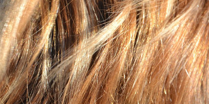 capelli_ciclo di vita